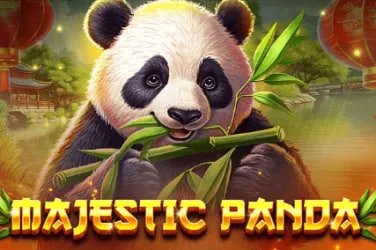 Dana12 aplikasi mobile untuk Android dan iOS dengan akses mudah
